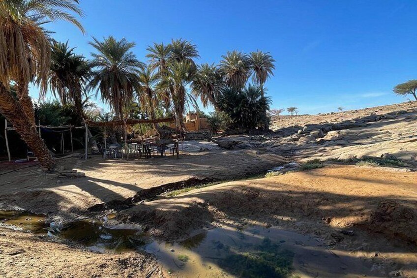 A dry riverbed with palm trees and a small gathering of people. 2