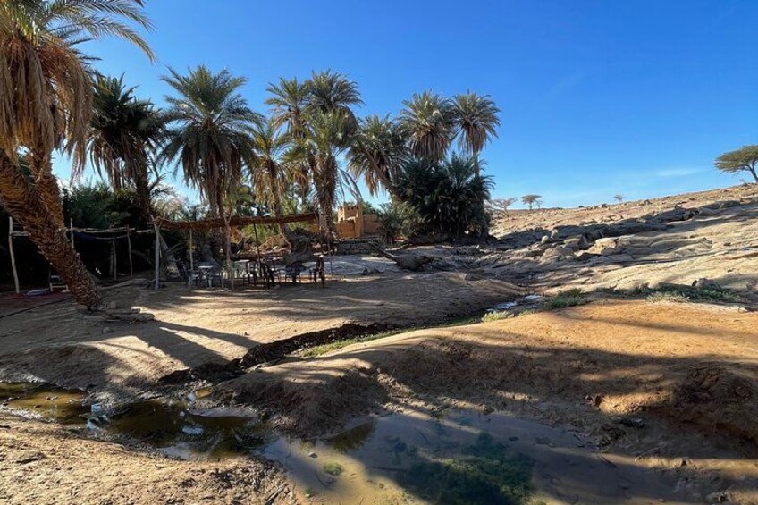 Paisaje desértico con palmeras, un pequeño arroyo y terreno rocoso. 2