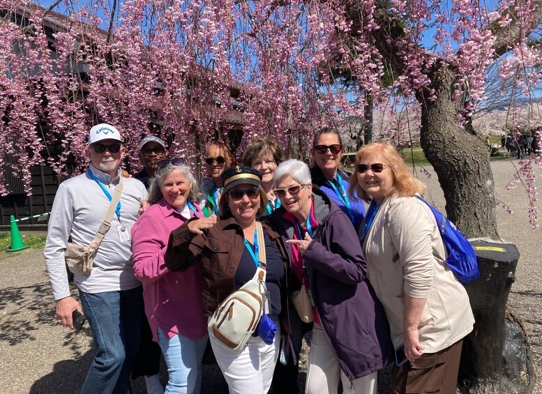 A group of people posing in front of blooming cherry trees. 5