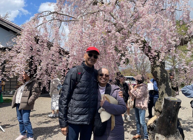 People standing under cherry blossom trees. 3