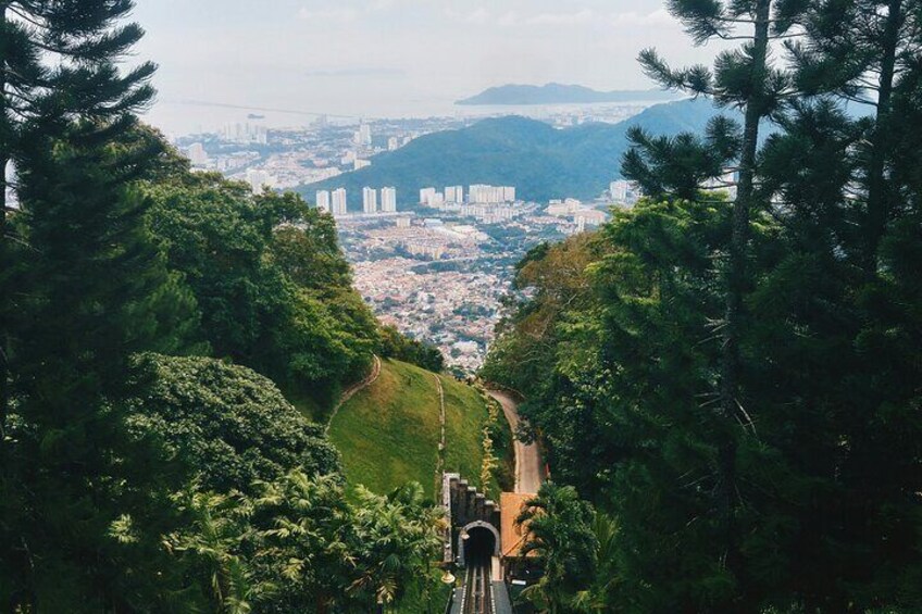 A cityscape viewed from a hilltop, surrounded by dense greenery. 5