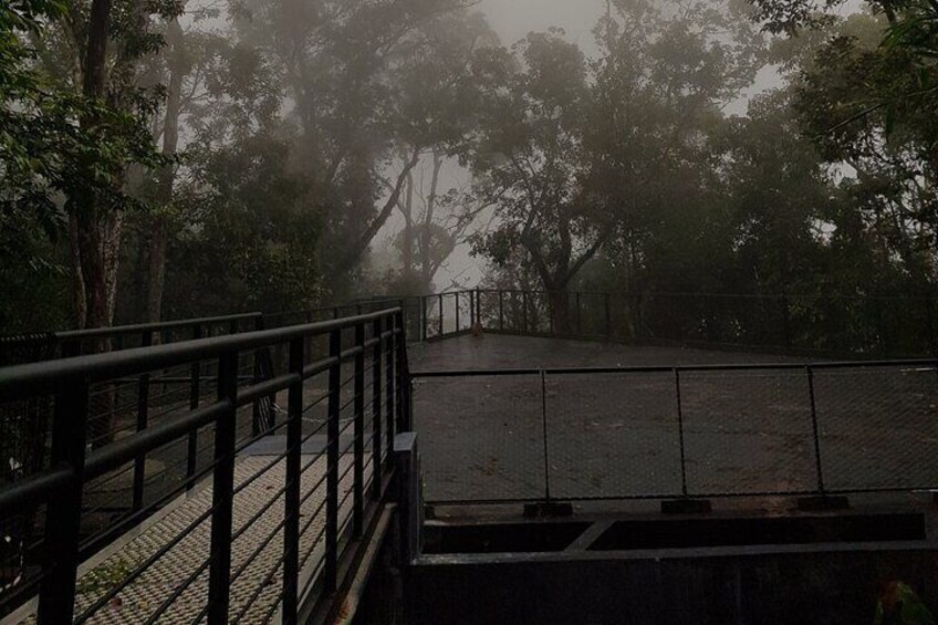 A foggy forest with a metal bridge and a paved area. 3