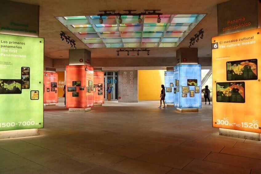 Een museuminterieur met verlichte vitrines en informatieteksten. 3