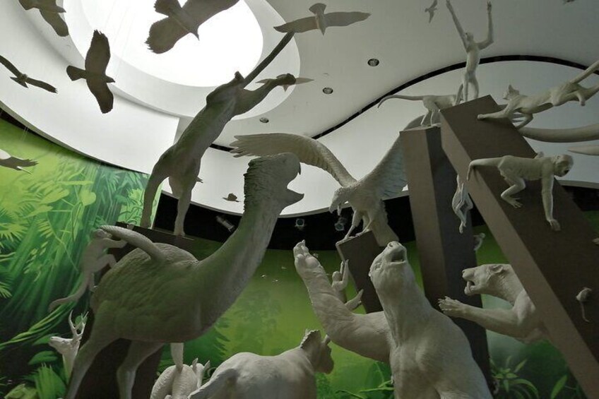 Een museumexpositie met diverse dierenbeeldjes, waaronder vogels en zoogdieren, voor een achtergrond van groene begroeiing. 5