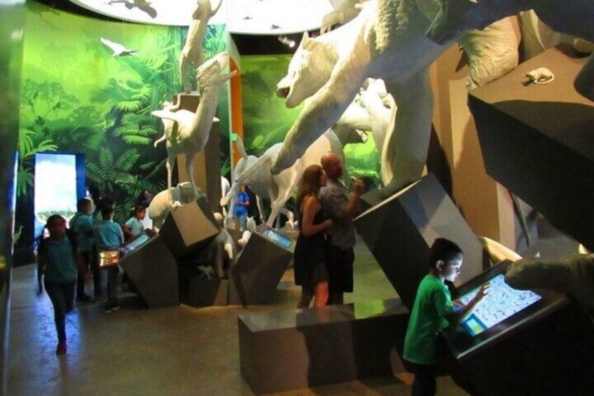 Een museumexpositie met grote dierenbeelden en interactieve presentaties. 4