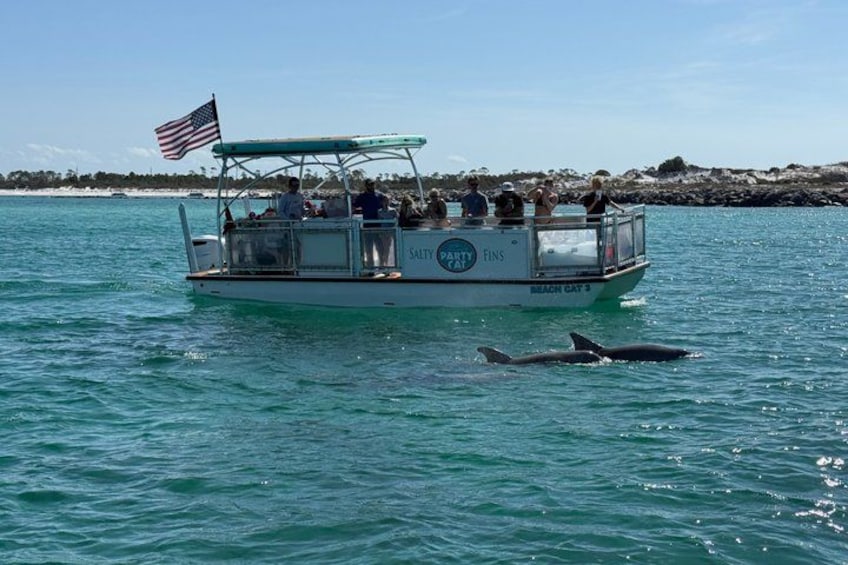 Ein Boot mit einer US-Flagge, Personen an Bord und Delfinen in der Nähe. 1