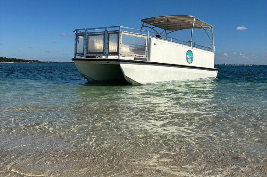 Shell Island Snorkel And Dolphin Sightseeing 3