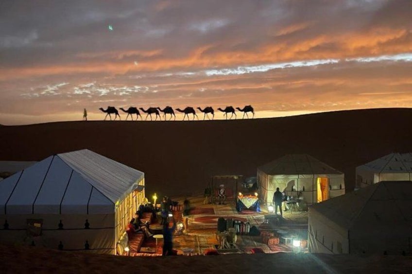 A desert campsite at sunset with tents and a camel caravan. 4