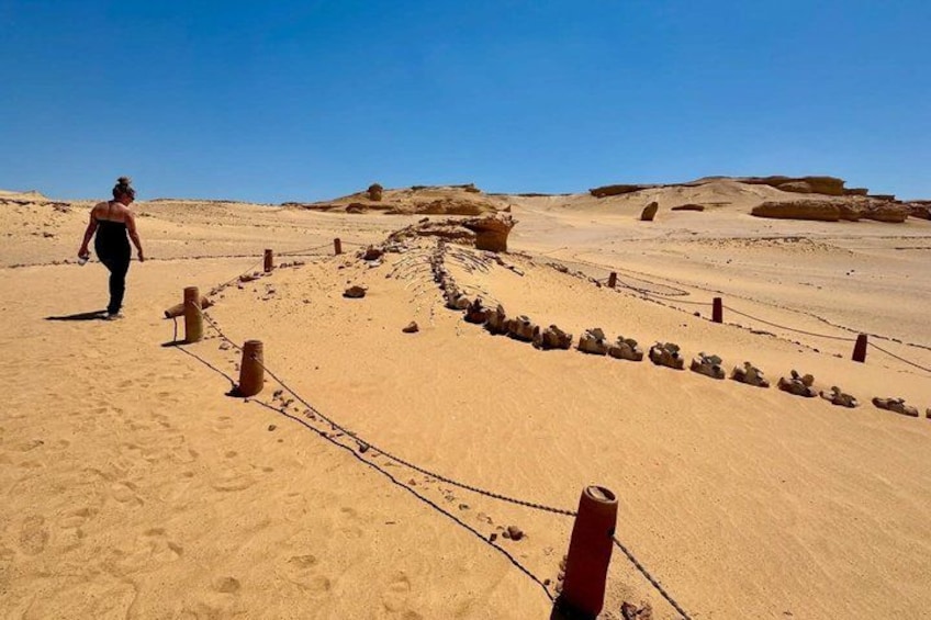 A desert landscape with sand dunes, a person walking, and a chain-link fence. 3