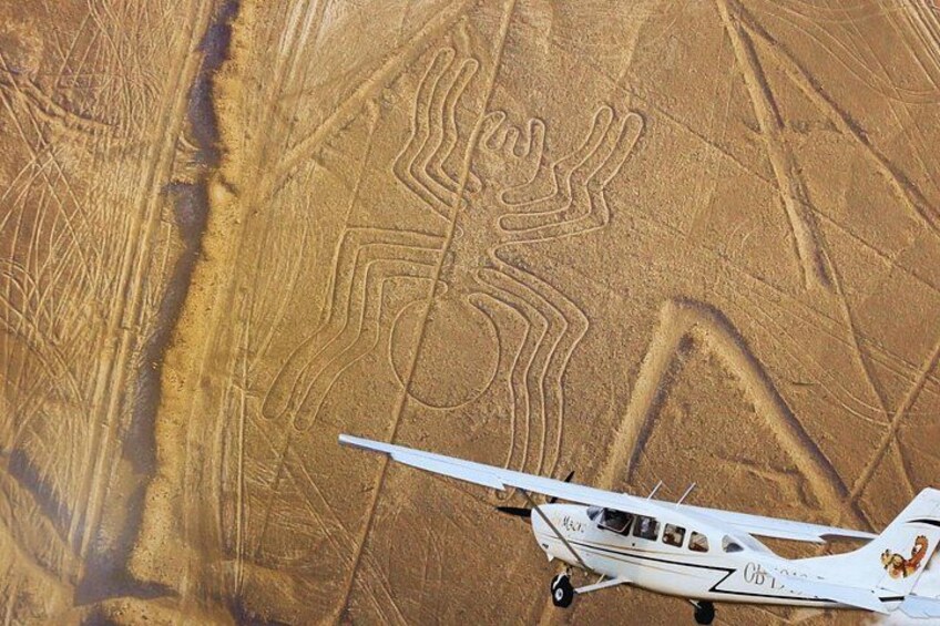 Flight in Nazca 5