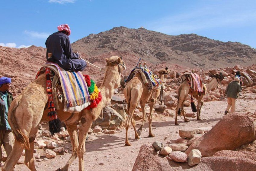 Camels with riders in a rocky desert landscape. 5