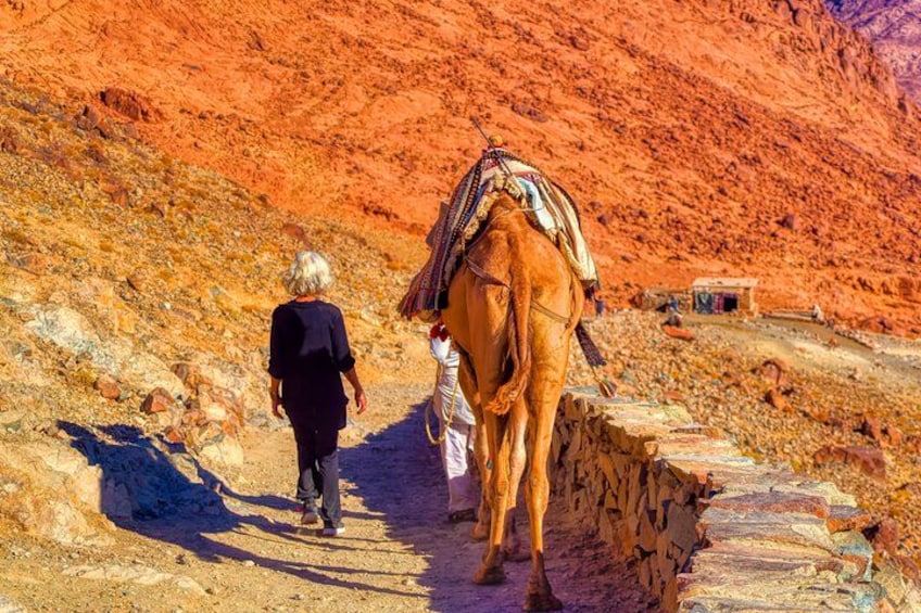 A person walking a horse along a stone path in a mountainous area. 3