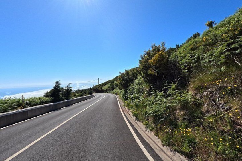 A winding road with a guardrail, surrounded by greenery and yellow flowers. 5
