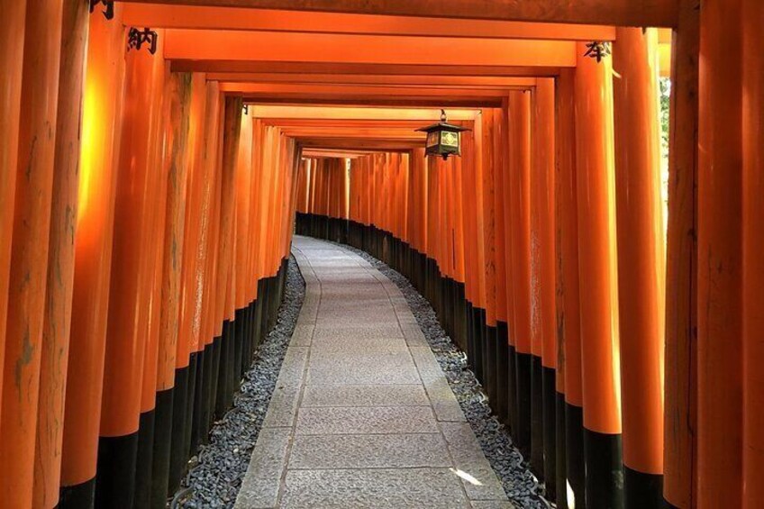 Un couloir bordé de portails torii orange. 1