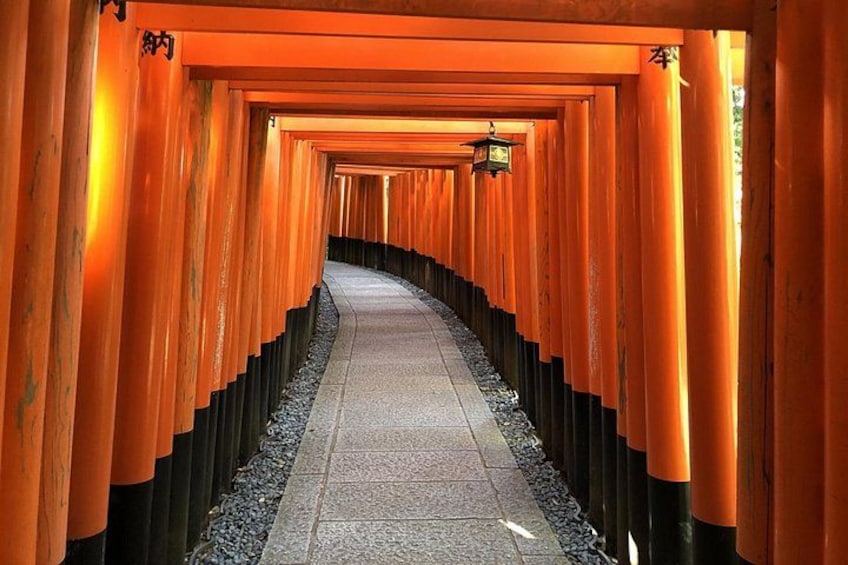 Exploring Fushimi Inari by e-bike on a relaxed Kyoto afternoon 1