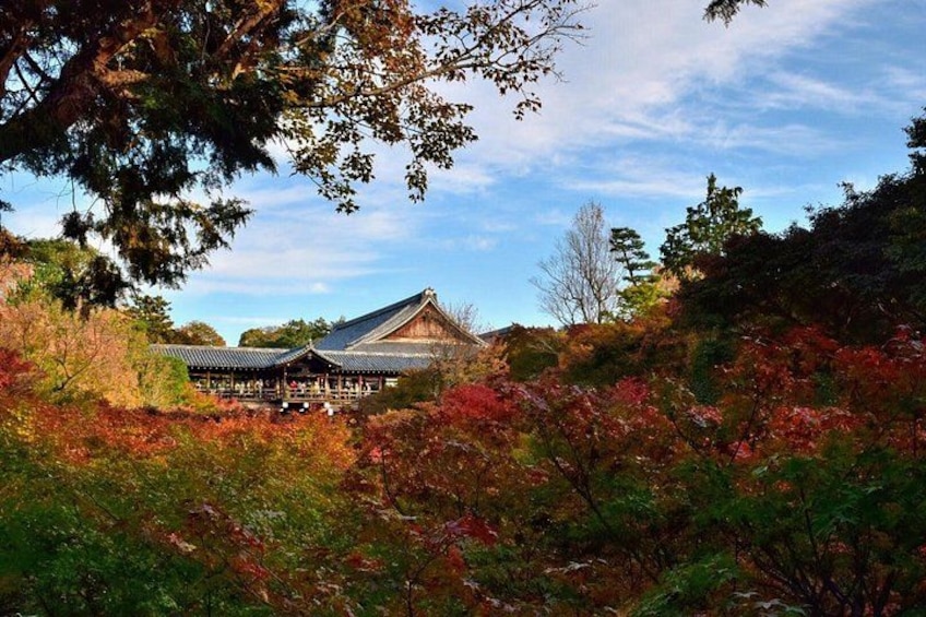 Exploring Fushimi Inari by e-bike on a relaxed Kyoto afternoon 3