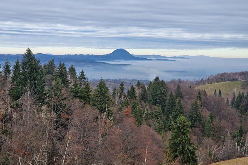 A mountainous landscape with dense coniferous forests and a distant mountain range. 2