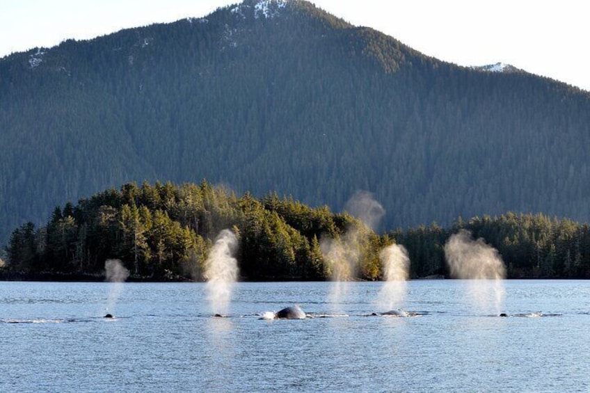 Un lac dont les eaux dégagent de la vapeur, entouré d’une montagne boisée. 1