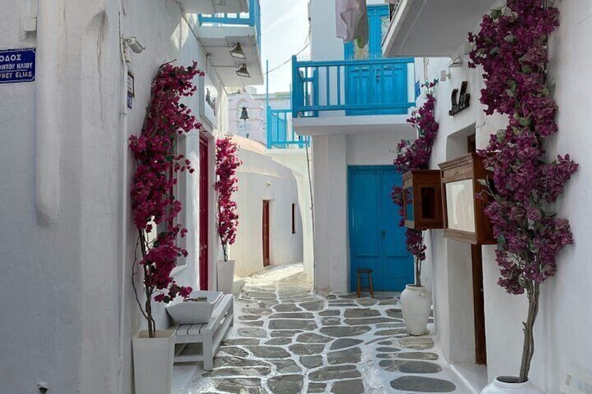 Eine enge Straße mit weißen Wänden, Steinpflaster, blauen Türen und rosa Bougainvillea-Ranken. 3