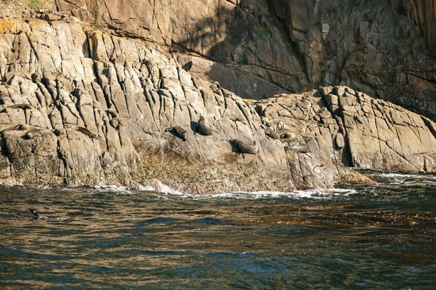A rocky coastline with waves crashing against the shore. 5