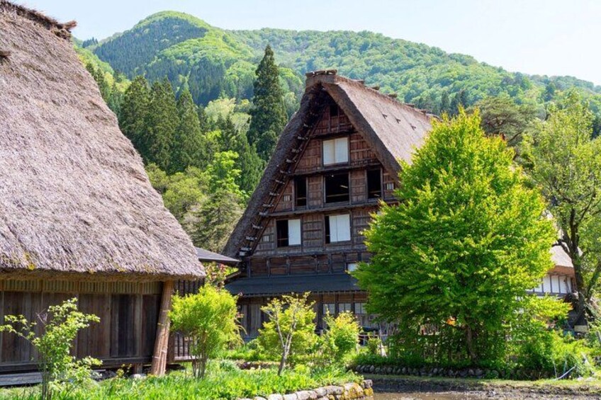 A traditional wooden house with a thatched roof, surrounded by lush greenery and mountains in the background. 1