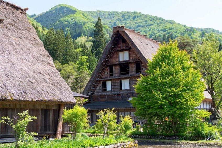 A traditional wooden house with a thatched roof, surrounded by lush greenery and a mountainous backdrop. 1