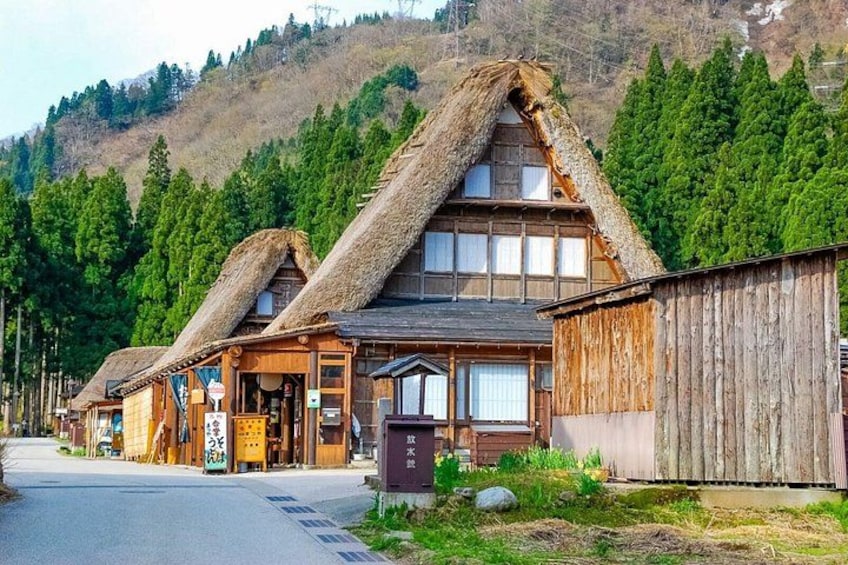 Traditional wooden buildings with thatched roofs, a road, and a forested hillside. 2