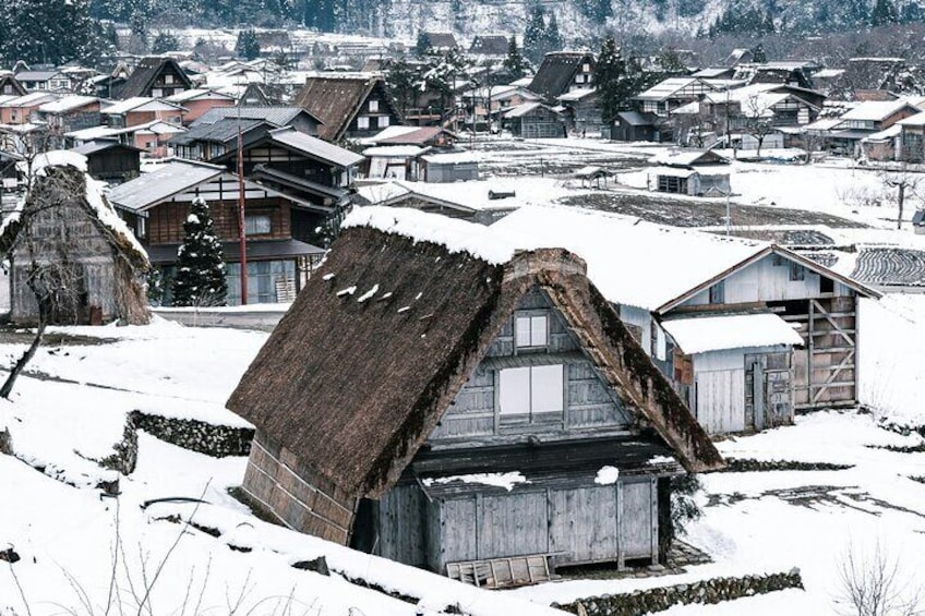 Private Half Day Tour to Shirakawago with English Guide 3