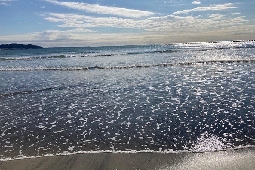 Une plage avec des vagues, du sable et une étendue de terre visible au loin. 3