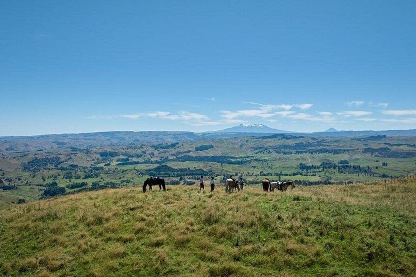 Taking a break while taking in the scenery. Mt. Ruapehu in the distance. 4
