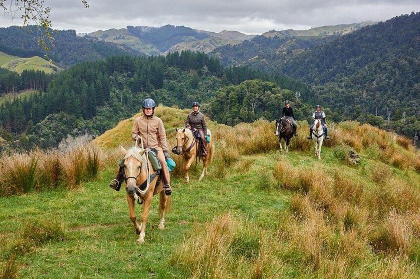 Riding along a ridge with the Ruahine Ranges in the background. 3