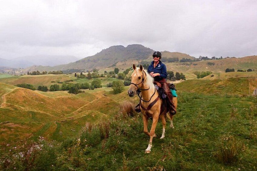 The mountain Pukeokahu in the background as this horse and rider crests a hill. 5