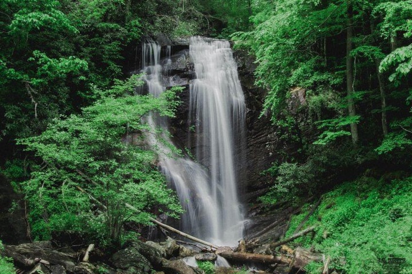 A waterfall surrounded by dense green foliage. 1