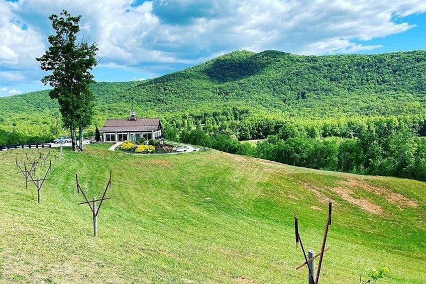 A house on a grassy hill with a forested mountain in the background. 3