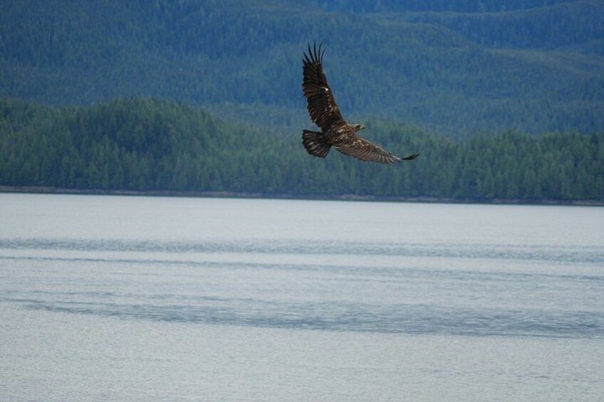 Private Van Wildlife Tour 3