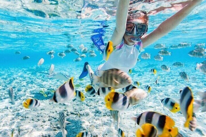 Una persona haciendo snorkel bajo el agua, rodeada de peces de colores. 1