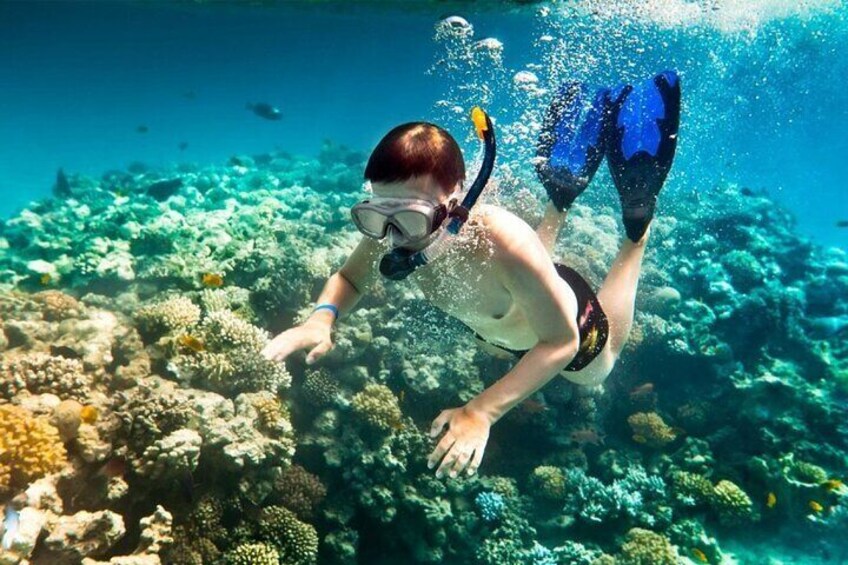 Una persona haciendo snorkel bajo el agua, rodeada de arrecifes de coral. 4