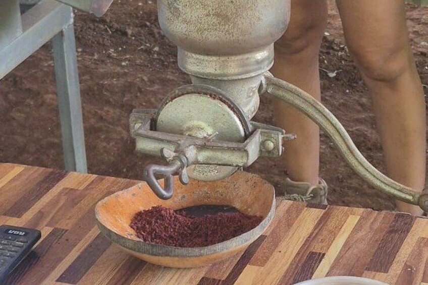 Bijagua Rain Forest Sloth Observation and Coffee Tour 5