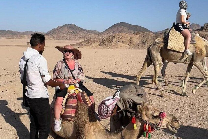 Hurghada Desert Jeep Safari Under the Stars with BBQ Dinner 3