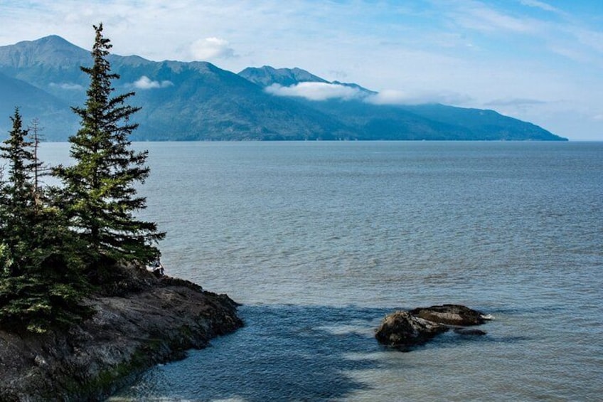 A calm lake with a rocky shoreline, a coniferous tree, and mountains in the background. 5