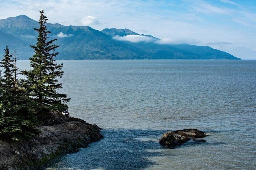 Un lac paisible aux rives rocheuses, un arbre à feuilles persistantes et des montagnes en arrière-plan. 4