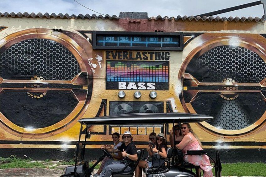 Wynwood Street Art Tour - Artist Lead -VIP Cart 4