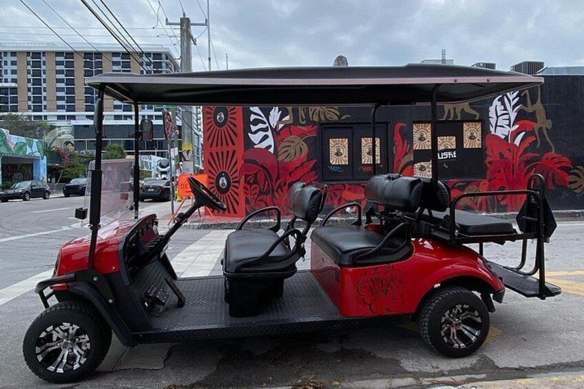Wynwood Street Art Tour - Artist Lead -VIP Cart 3