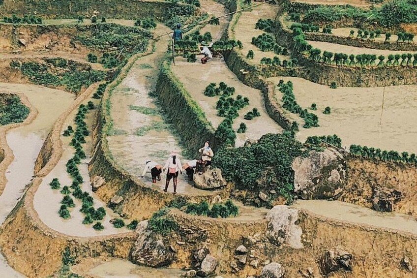 Terraced fields with people working, a winding water channel, and rocky terrain. 1