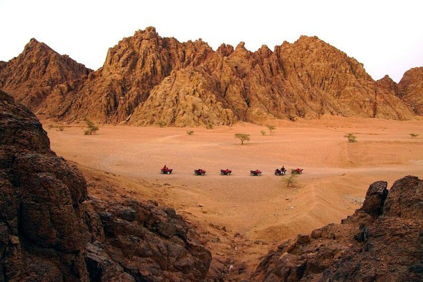 Sharm El-Sheikh: ATV Quad, Camel Ride, BBQ Dinner and Show 3