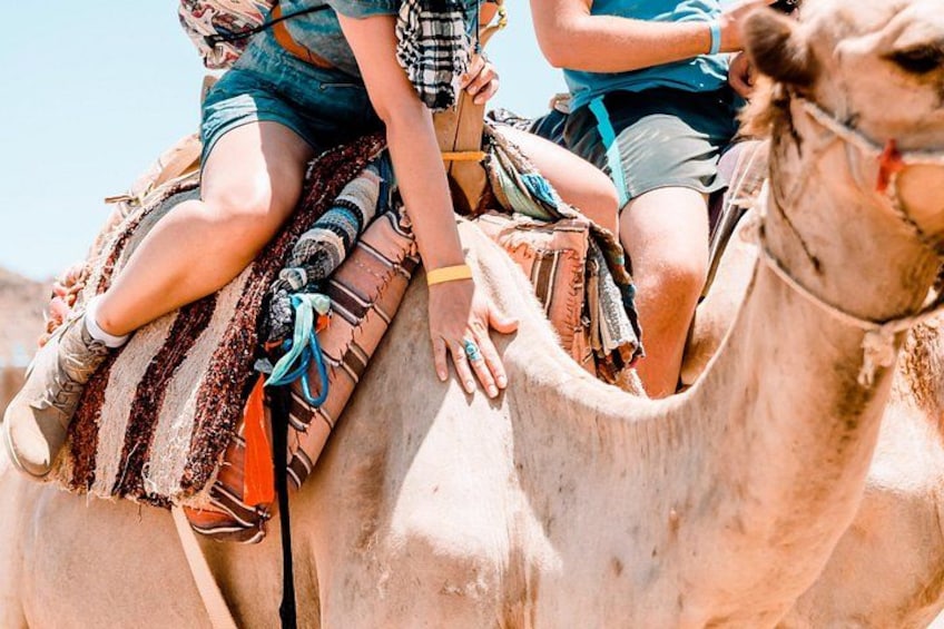 Two people riding a camel. 4