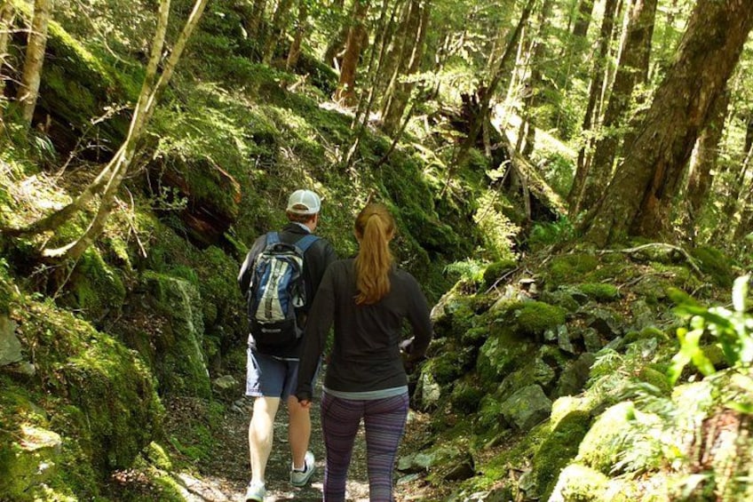 Two people hiking in a forested area with dense foliage and rocky terrain. 4