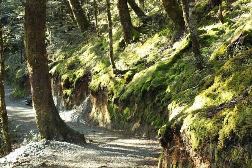 Full-Day Routeburn Track Guided Hike Small Group from Queenstown 2