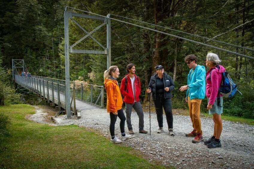 Eine Gruppe Wanderer auf einem Waldpfad, im Hintergrund eine Hängebrücke. 4