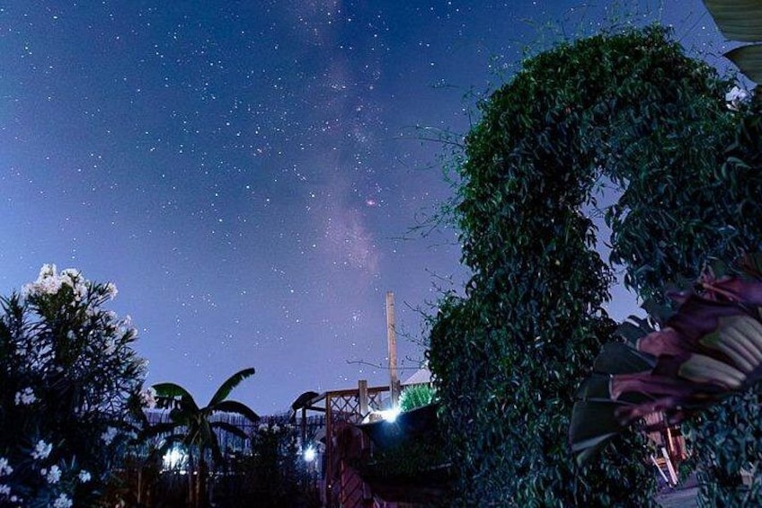 Cielo nocturno con estrellas, una estructura alta y follaje denso. 3